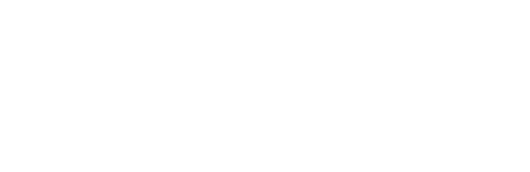 FiscALL Partners