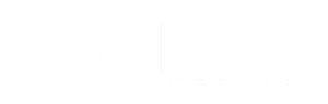 Link